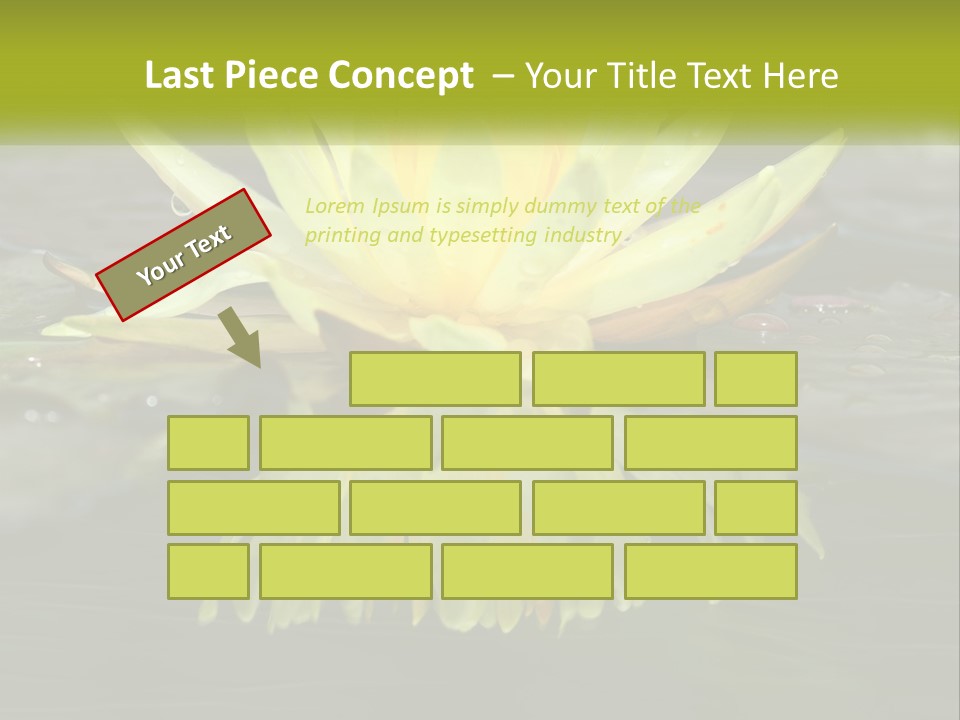 A Yellow Water Lily In A Pond Of Water PowerPoint Template