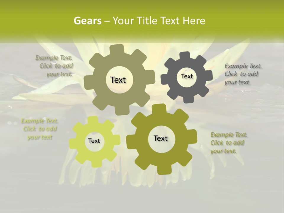 A Yellow Water Lily In A Pond Of Water PowerPoint Template