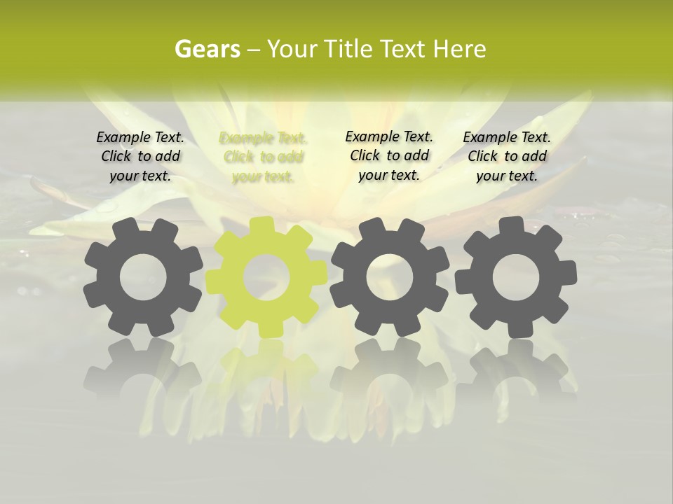 A Yellow Water Lily In A Pond Of Water PowerPoint Template