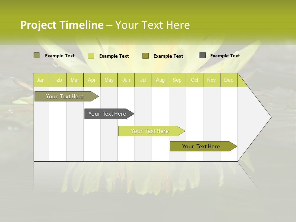 A Yellow Water Lily In A Pond Of Water PowerPoint Template