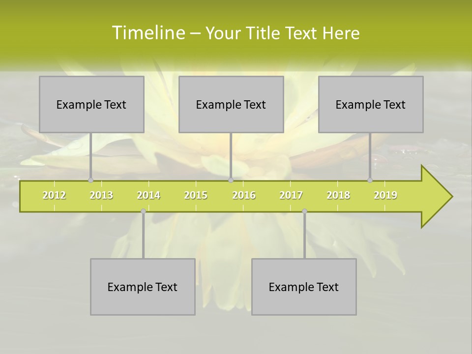 A Yellow Water Lily In A Pond Of Water PowerPoint Template