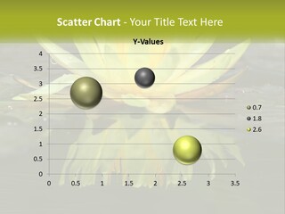 A Yellow Water Lily In A Pond Of Water PowerPoint Template