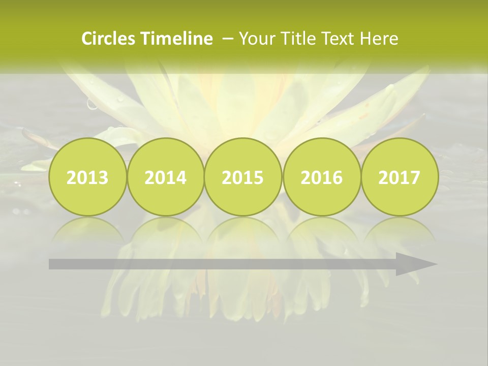 A Yellow Water Lily In A Pond Of Water PowerPoint Template