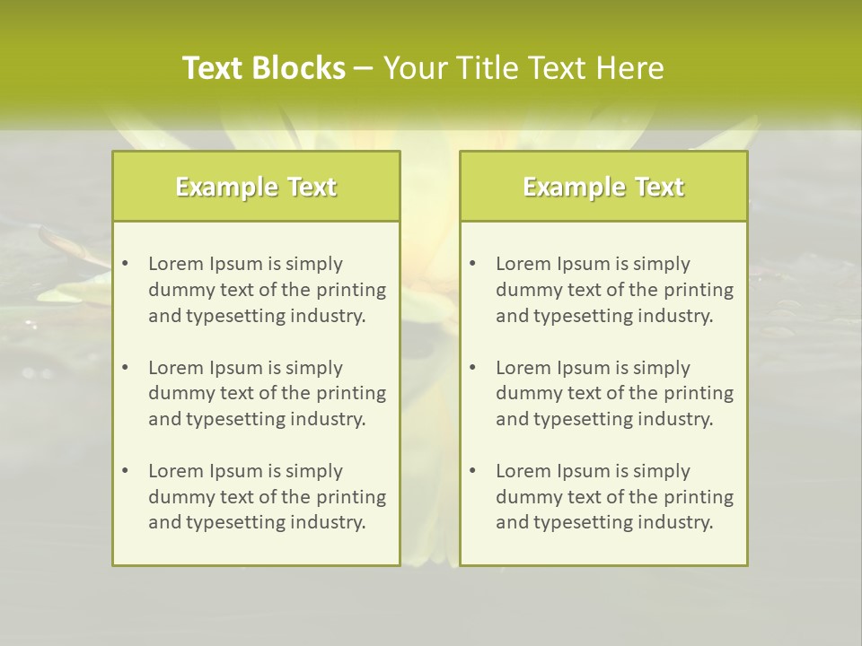 A Yellow Water Lily In A Pond Of Water PowerPoint Template