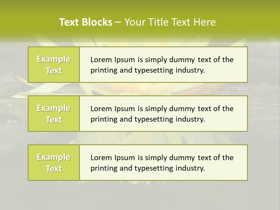 A Yellow Water Lily In A Pond Of Water PowerPoint Template