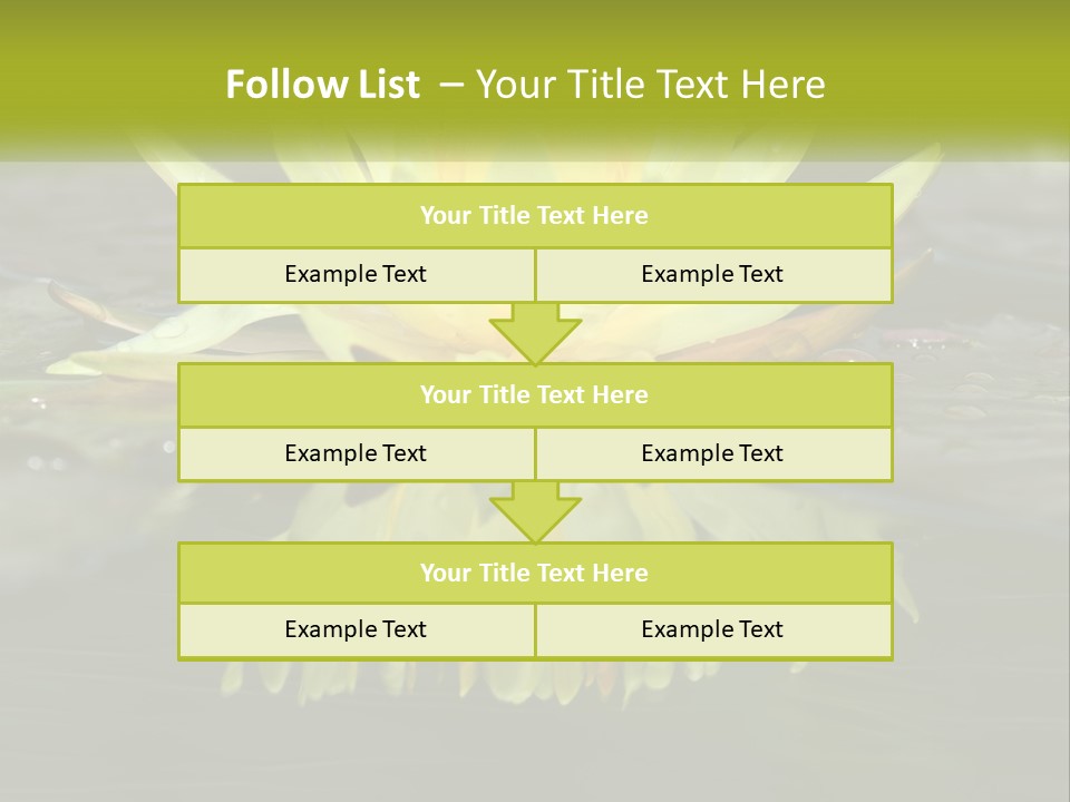 A Yellow Water Lily In A Pond Of Water PowerPoint Template