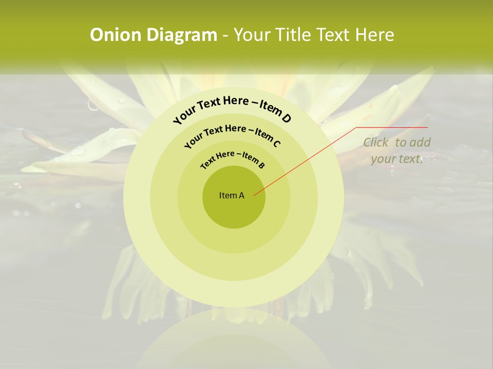 A Yellow Water Lily In A Pond Of Water PowerPoint Template