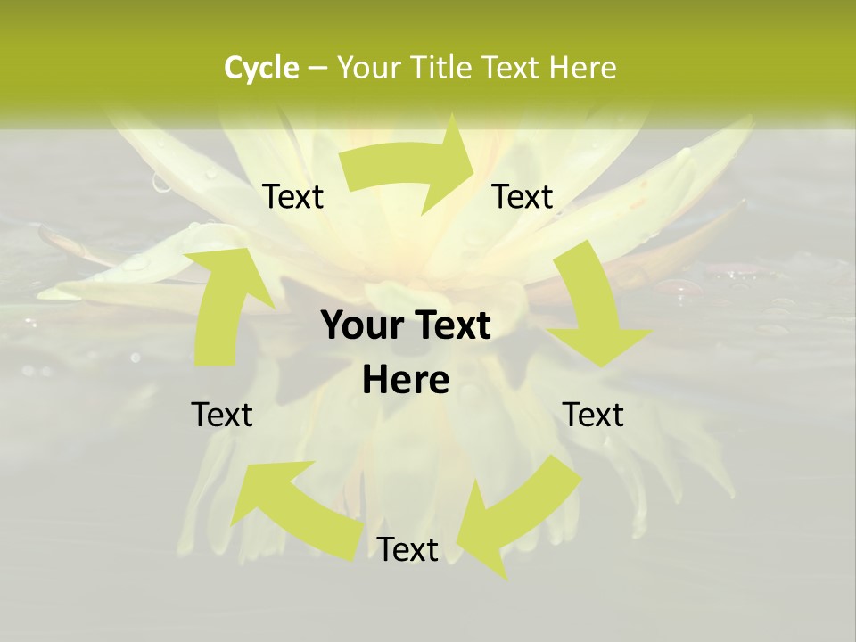 A Yellow Water Lily In A Pond Of Water PowerPoint Template