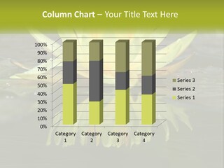 A Yellow Water Lily In A Pond Of Water PowerPoint Template