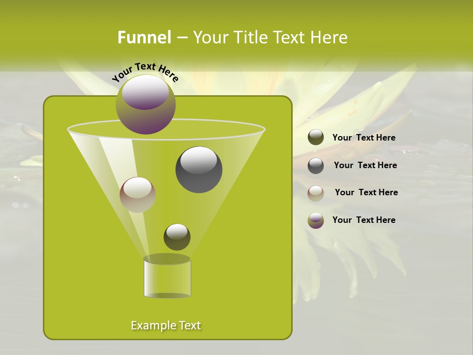 A Yellow Water Lily In A Pond Of Water PowerPoint Template