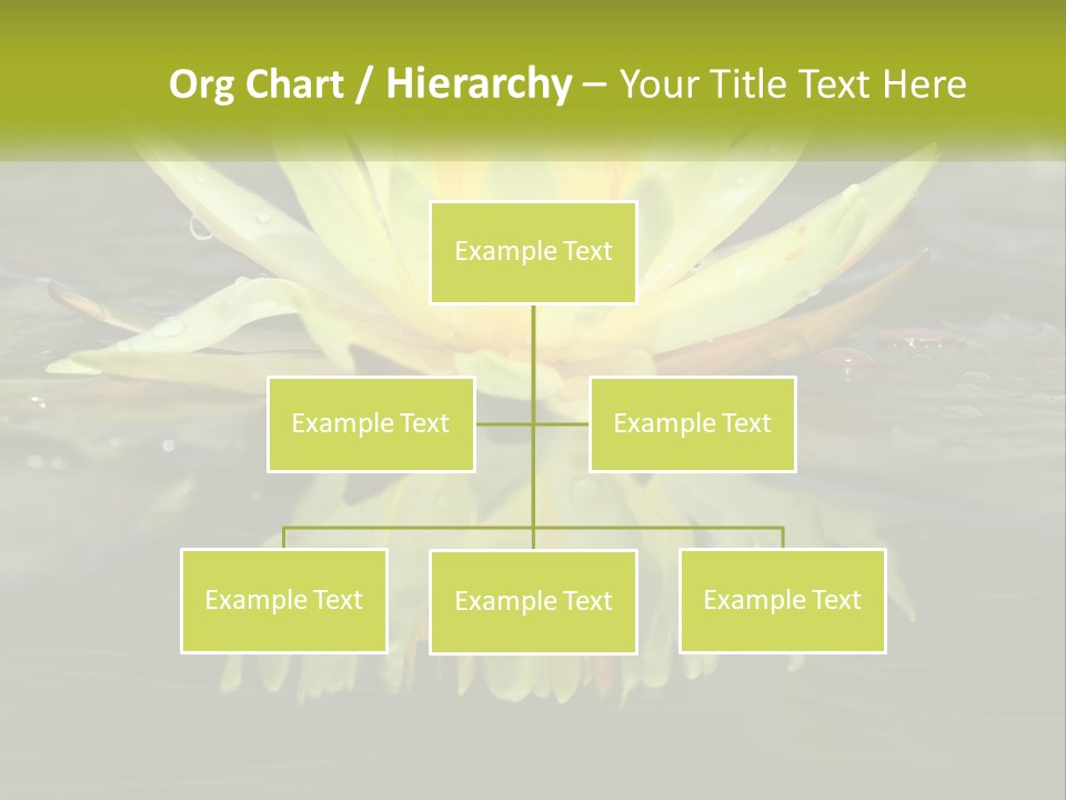 A Yellow Water Lily In A Pond Of Water PowerPoint Template