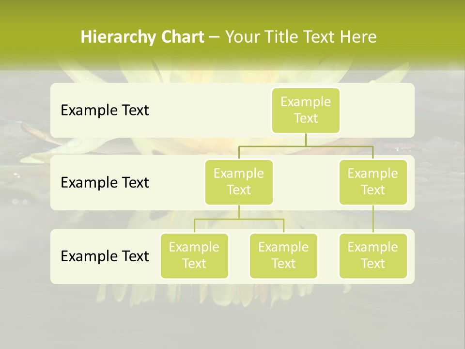 A Yellow Water Lily In A Pond Of Water PowerPoint Template