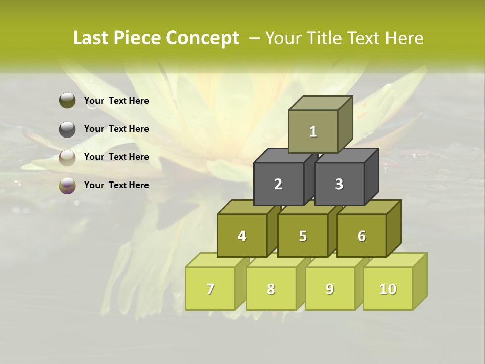 A Yellow Water Lily In A Pond Of Water PowerPoint Template