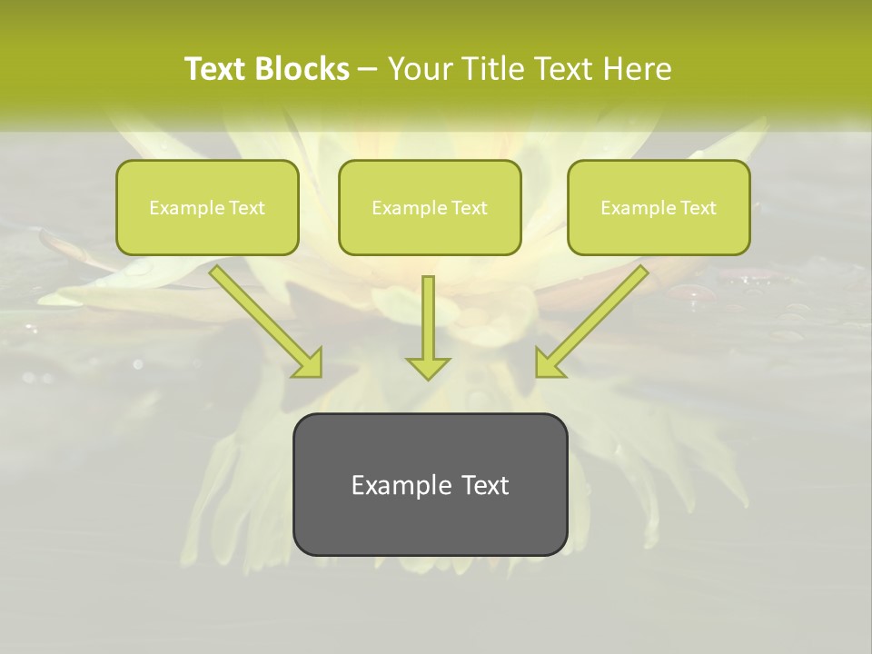 A Yellow Water Lily In A Pond Of Water PowerPoint Template