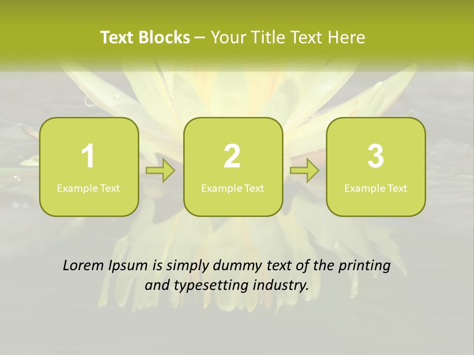 A Yellow Water Lily In A Pond Of Water PowerPoint Template