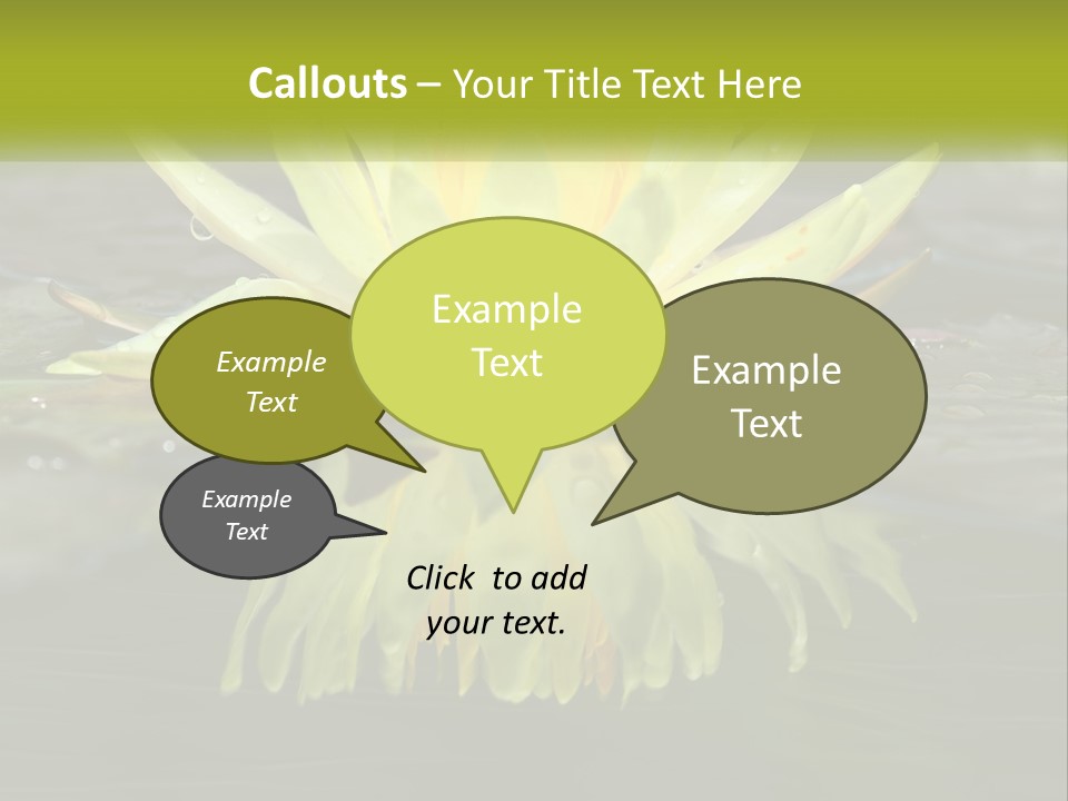 A Yellow Water Lily In A Pond Of Water PowerPoint Template