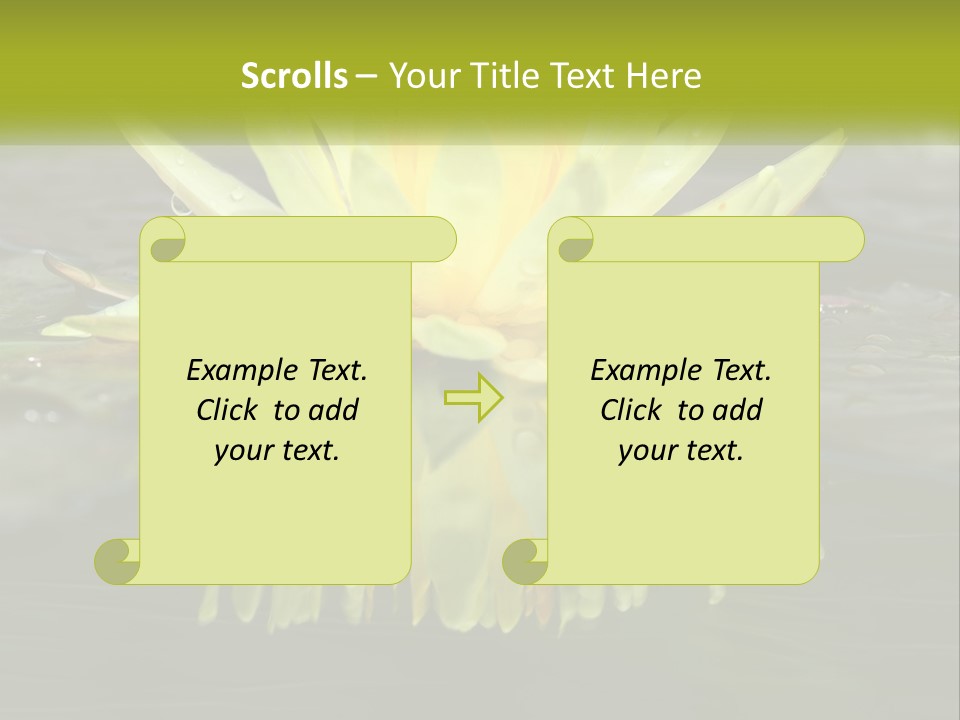 A Yellow Water Lily In A Pond Of Water PowerPoint Template