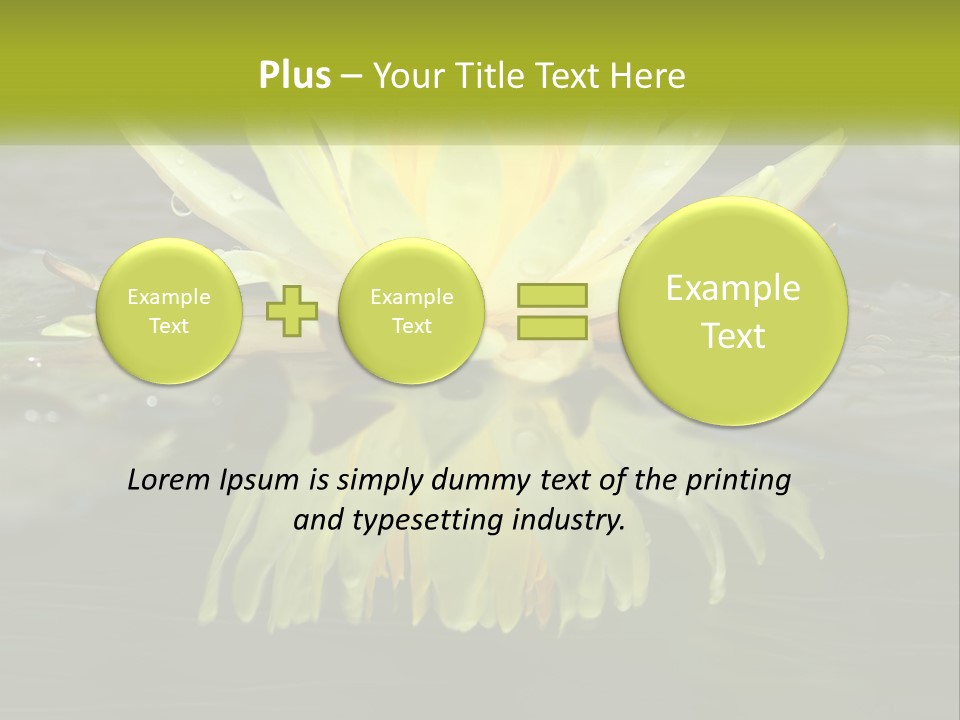 A Yellow Water Lily In A Pond Of Water PowerPoint Template