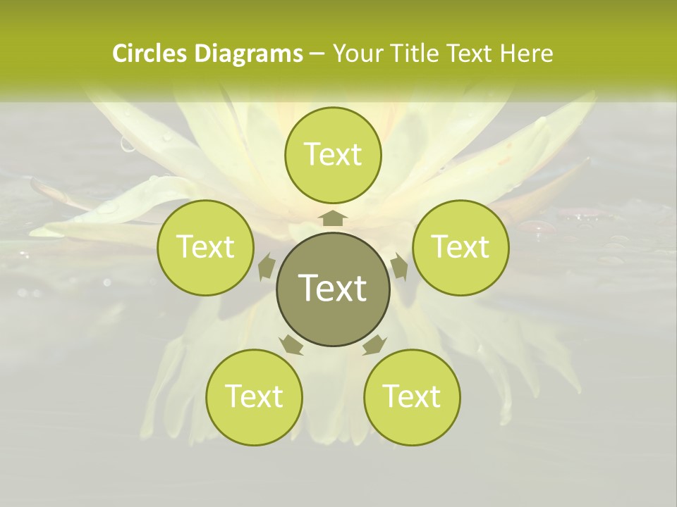 A Yellow Water Lily In A Pond Of Water PowerPoint Template