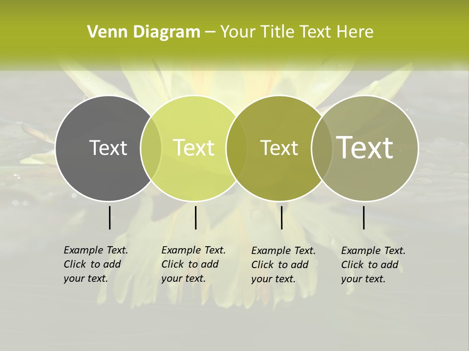 A Yellow Water Lily In A Pond Of Water PowerPoint Template