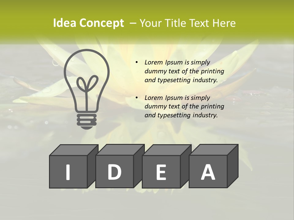 A Yellow Water Lily In A Pond Of Water PowerPoint Template