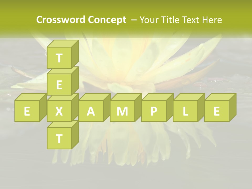 A Yellow Water Lily In A Pond Of Water PowerPoint Template