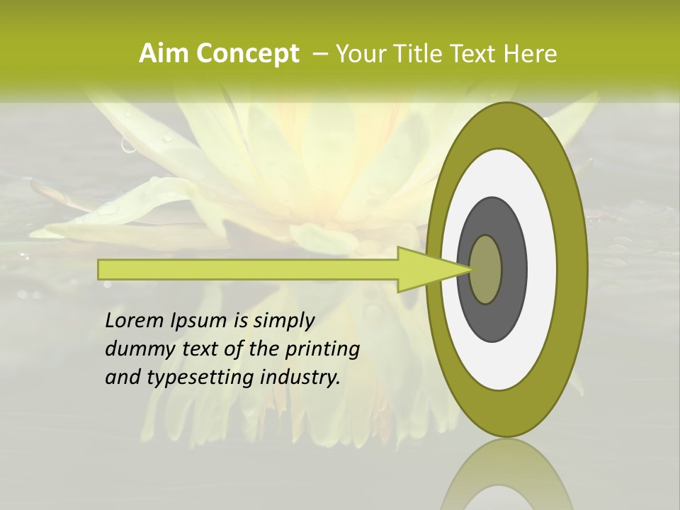 A Yellow Water Lily In A Pond Of Water PowerPoint Template