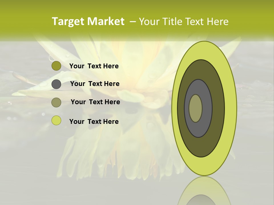 A Yellow Water Lily In A Pond Of Water PowerPoint Template
