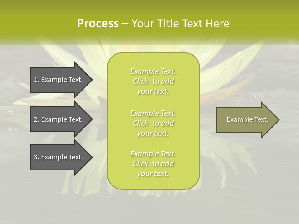 A Yellow Water Lily In A Pond Of Water PowerPoint Template