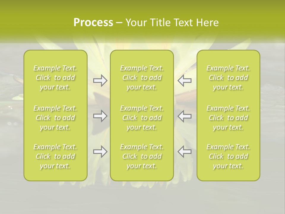 A Yellow Water Lily In A Pond Of Water PowerPoint Template