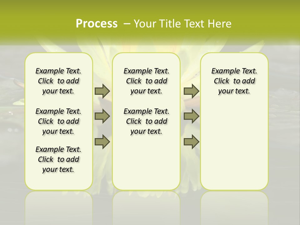 A Yellow Water Lily In A Pond Of Water PowerPoint Template