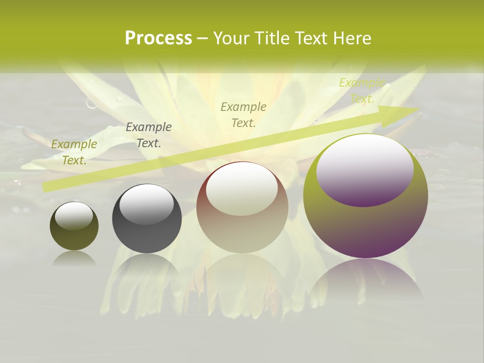 A Yellow Water Lily In A Pond Of Water PowerPoint Template