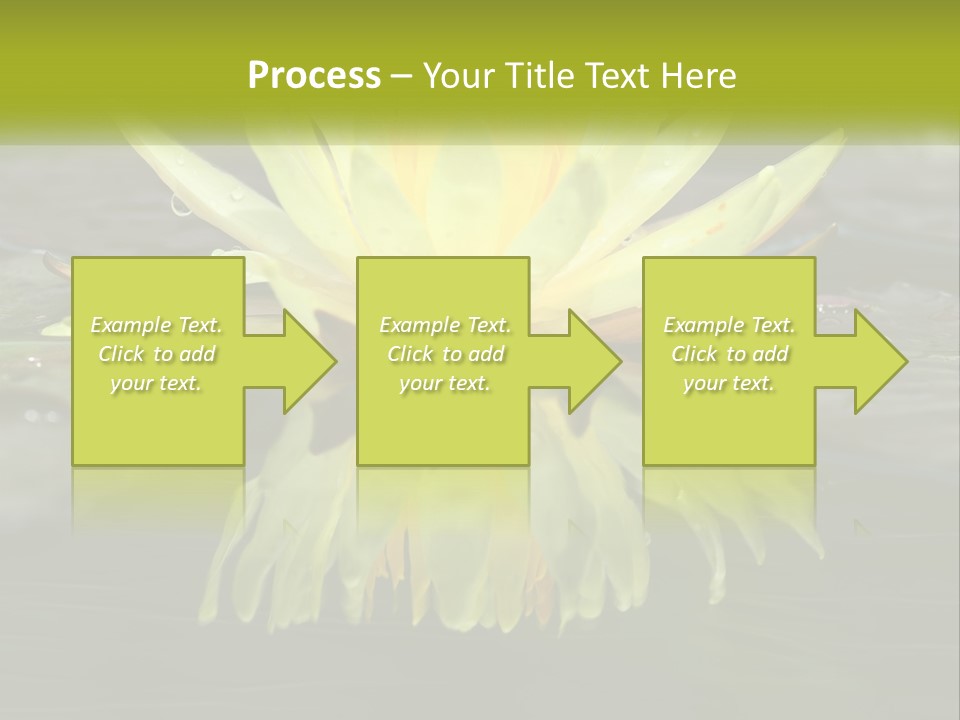 A Yellow Water Lily In A Pond Of Water PowerPoint Template