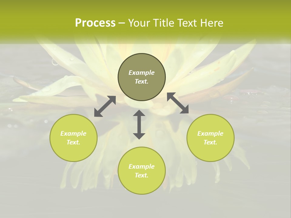 A Yellow Water Lily In A Pond Of Water PowerPoint Template