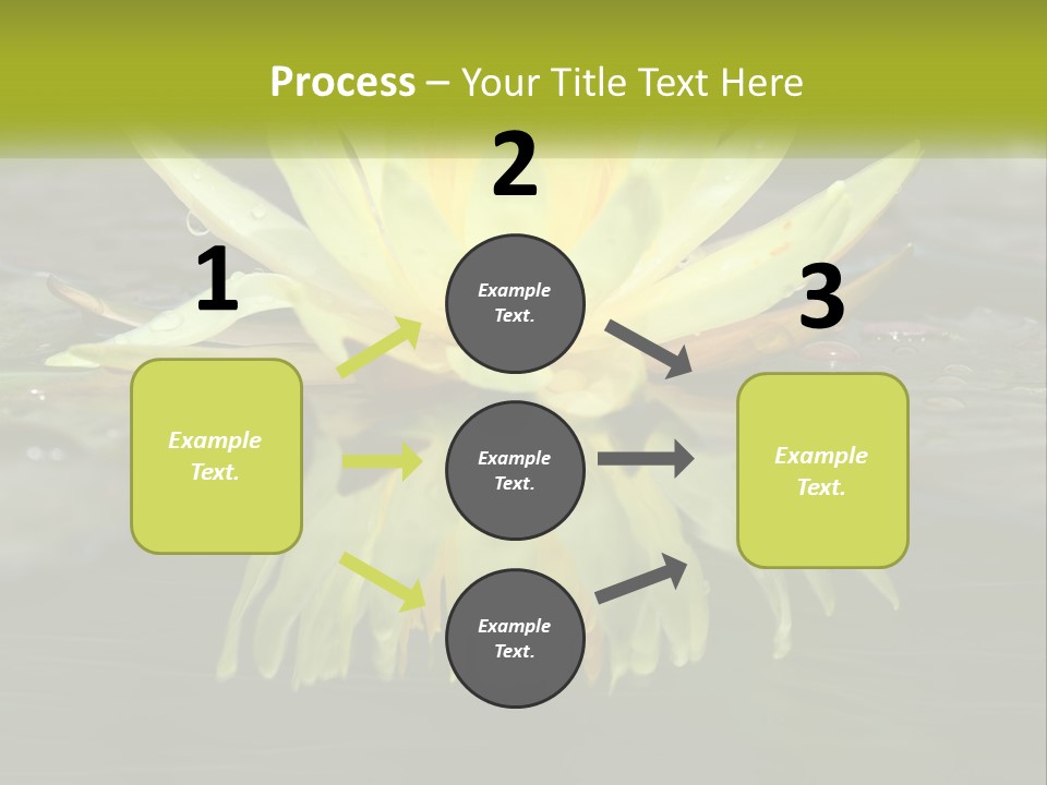 A Yellow Water Lily In A Pond Of Water PowerPoint Template