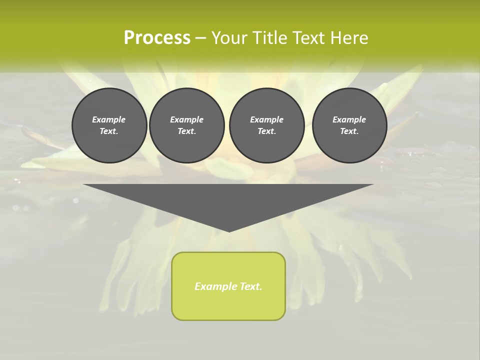 A Yellow Water Lily In A Pond Of Water PowerPoint Template