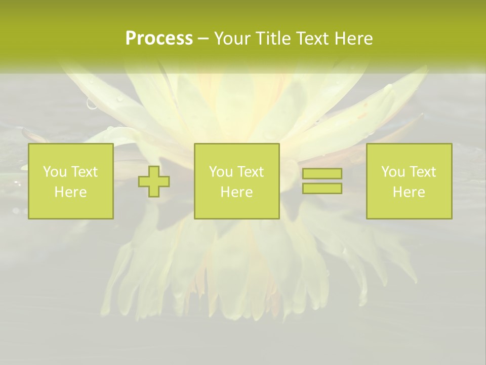 A Yellow Water Lily In A Pond Of Water PowerPoint Template