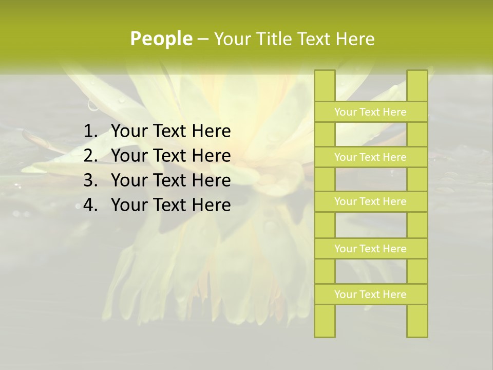 A Yellow Water Lily In A Pond Of Water PowerPoint Template