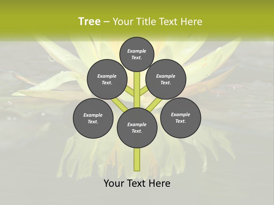 A Yellow Water Lily In A Pond Of Water PowerPoint Template