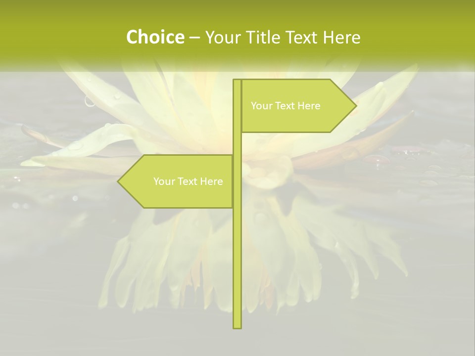 A Yellow Water Lily In A Pond Of Water PowerPoint Template