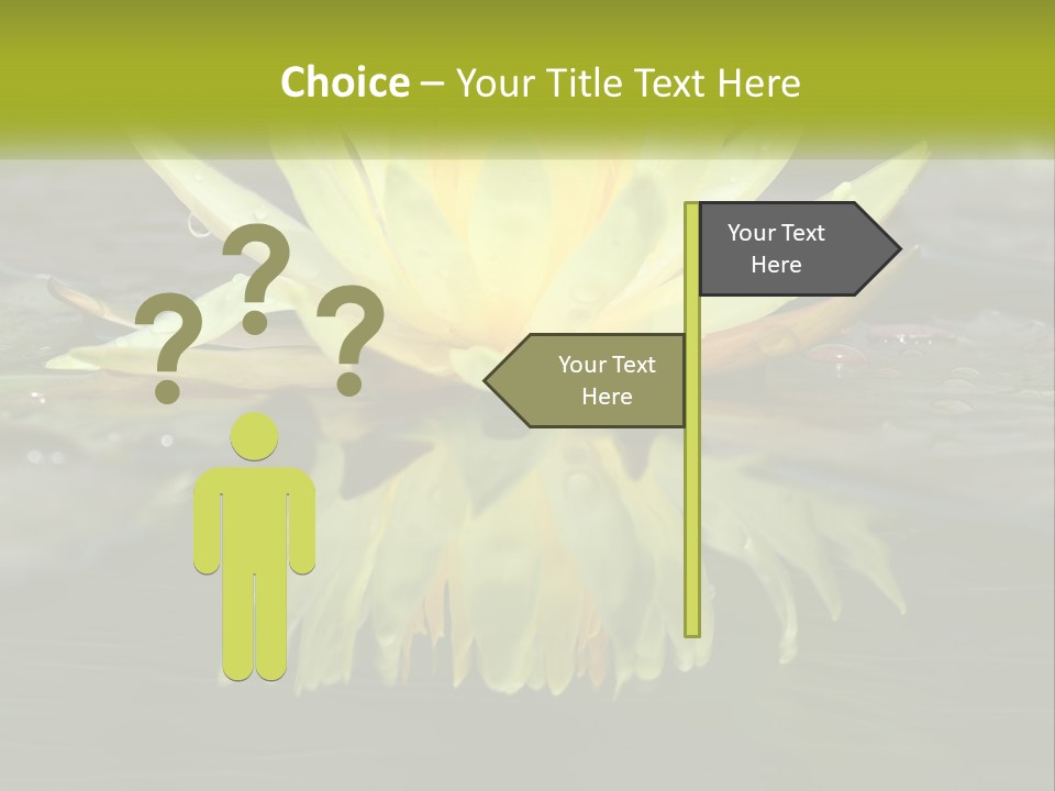 A Yellow Water Lily In A Pond Of Water PowerPoint Template
