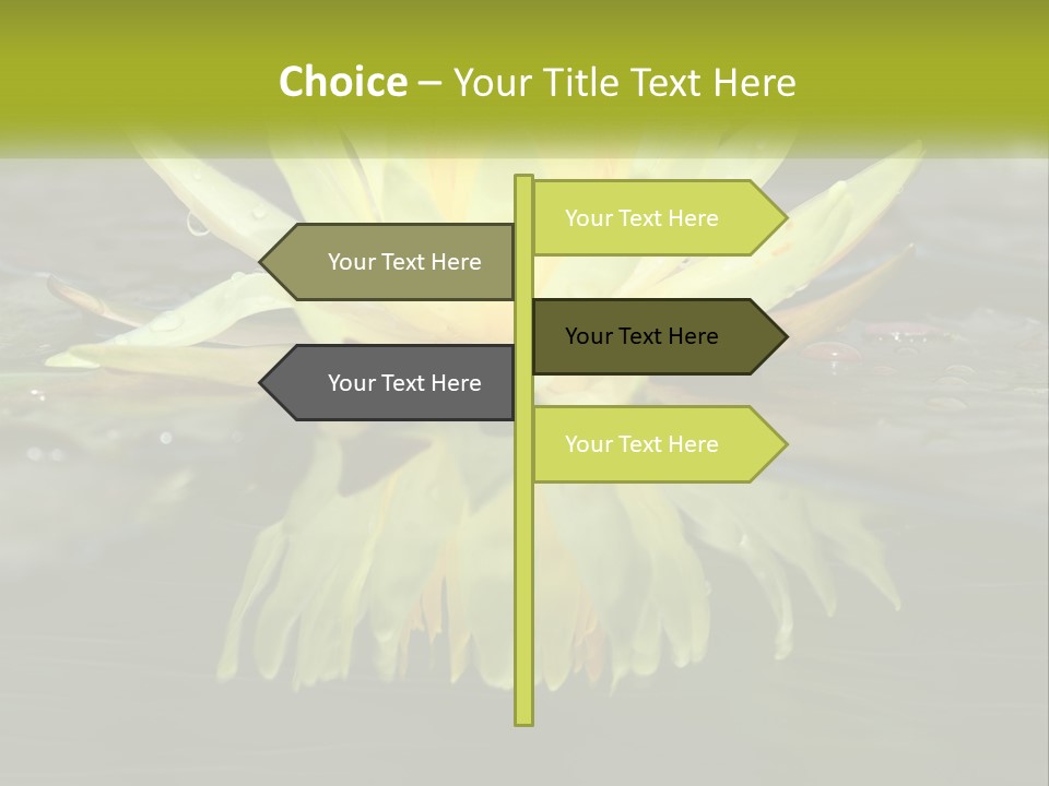 A Yellow Water Lily In A Pond Of Water PowerPoint Template