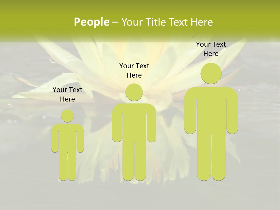 A Yellow Water Lily In A Pond Of Water PowerPoint Template