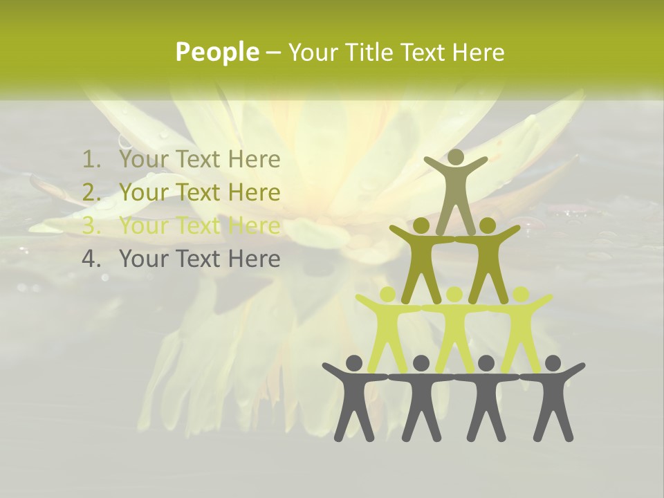 A Yellow Water Lily In A Pond Of Water PowerPoint Template