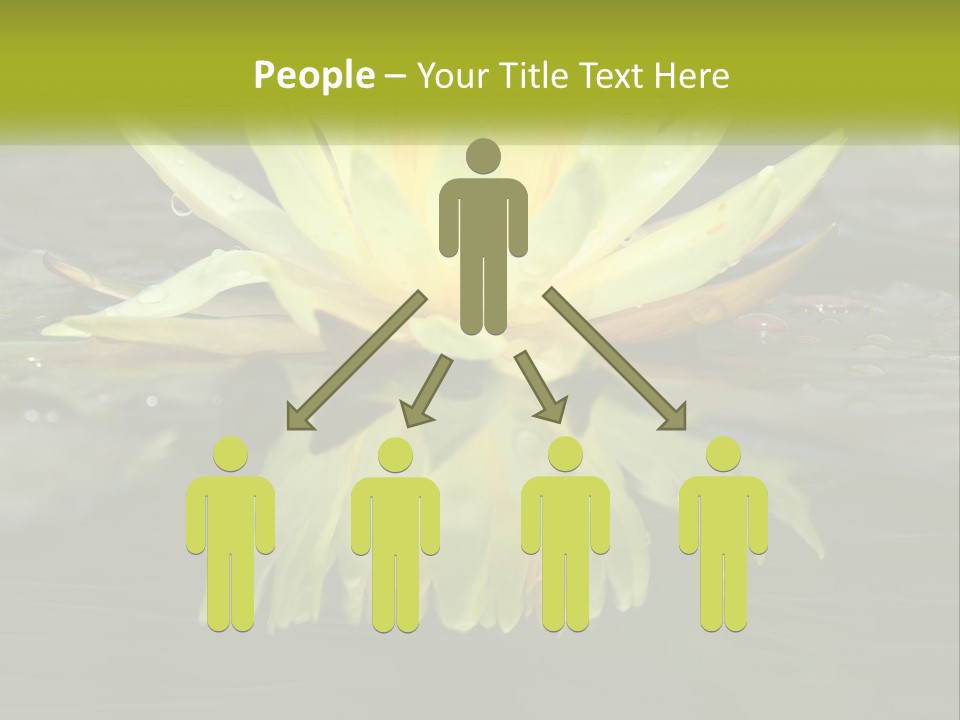 A Yellow Water Lily In A Pond Of Water PowerPoint Template