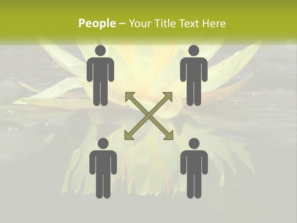 A Yellow Water Lily In A Pond Of Water PowerPoint Template