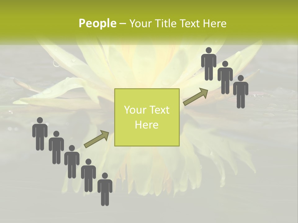 A Yellow Water Lily In A Pond Of Water PowerPoint Template