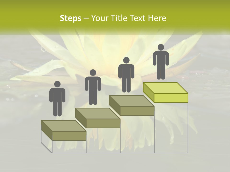 A Yellow Water Lily In A Pond Of Water PowerPoint Template