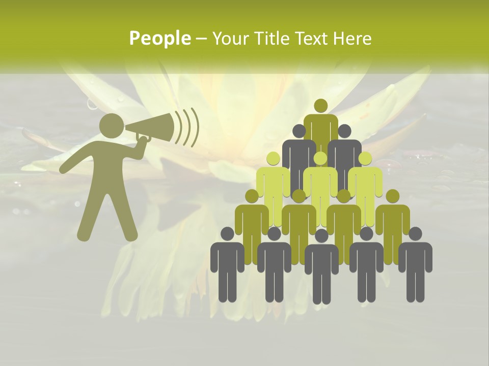 A Yellow Water Lily In A Pond Of Water PowerPoint Template