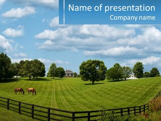 Two Horses Grazing In A Field With A House In The Background PowerPoint Template